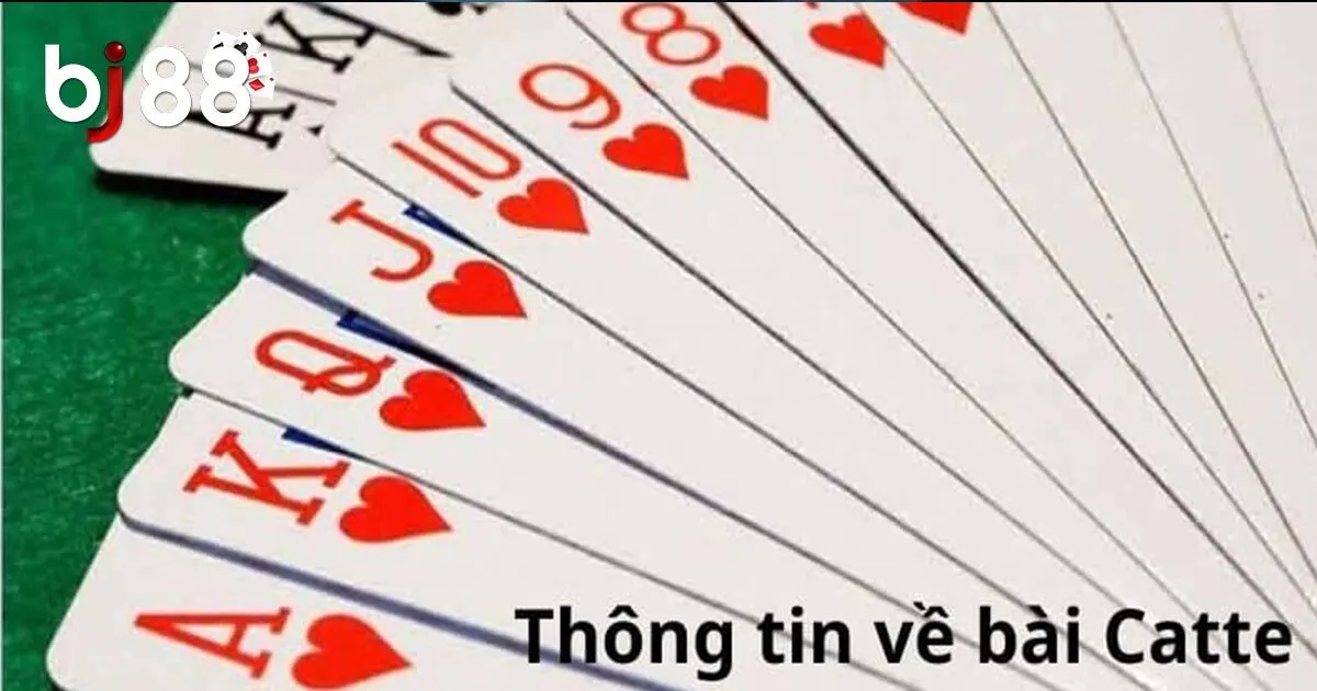 Hướng Dẫn Chơi Bài Catte Dễ Hiểu Nhất Dành Cho Người Mới 2 Tổng quan về bài catte