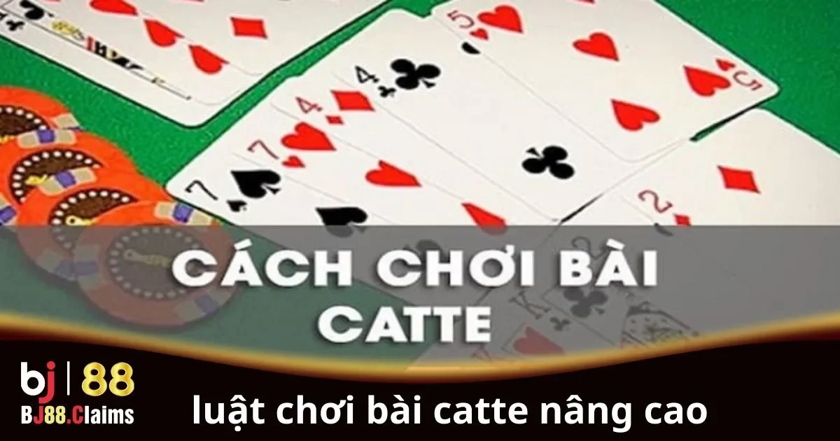 Luật Chơi Bài Catte Nâng Cao: Hướng Dẫn Cho Người Chơi 2 Luật chơi bài Catte nâng cao cho người chơi chuyên nghiệp