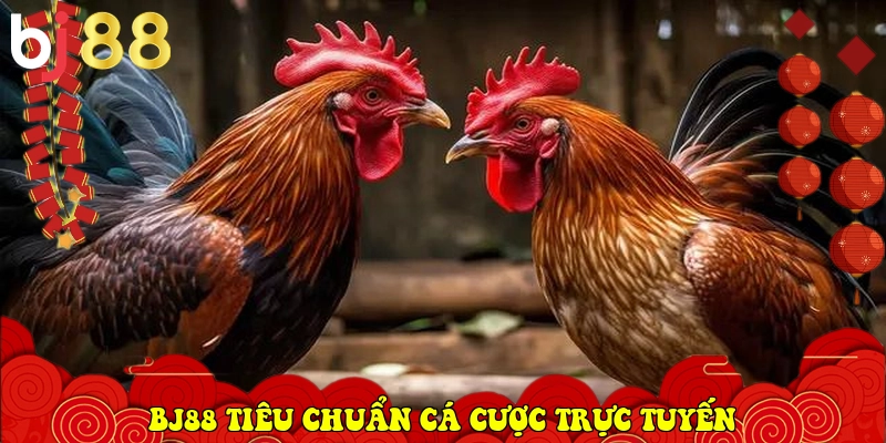 BJ88 torrentdb.in ⭐️ Trang Chủ BJ88.COM Đá Gà Trực Tiếp 2026 28 BJ88 xác lập tiêu chuẩn cá cược trực tuyến