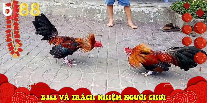 BJ88 torrentdb.in ⭐️ Trang Chủ BJ88.COM Đá Gà Trực Tiếp 2026 38 BJ88 và trách nhiệm người chơi