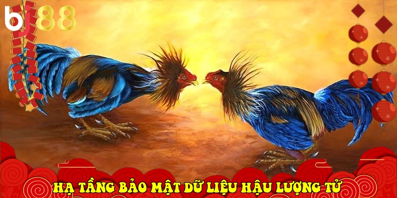 BJ88 torrentdb.in ⭐️ Trang Chủ BJ88.COM Đá Gà Trực Tiếp 2026 31 hạ tầng bảo mật dữ liệu hậu lượng tử