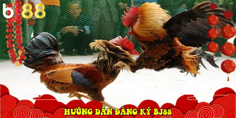 BJ88 torrentdb.in ⭐️ Trang Chủ BJ88.COM Đá Gà Trực Tiếp 2026 36 Hướng dẫn đăng ký BJ88
